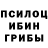 Галлюциногенные грибы Psilocybine cubensis McCoy BYZ
