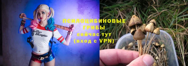 индика Абаза