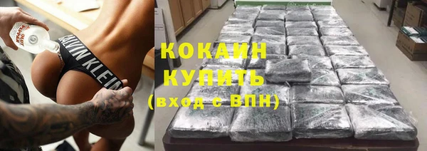 индика Абаза
