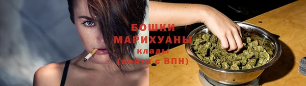 МДПВ Нея