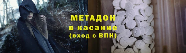 индика Абаза