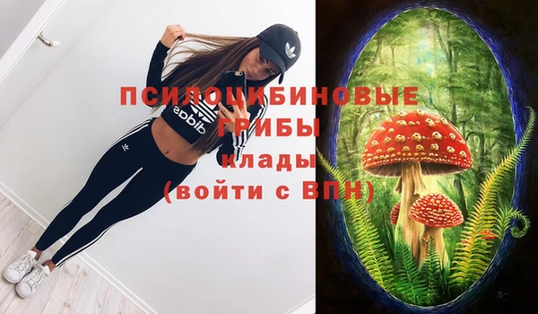 мяу мяу мука Абинск