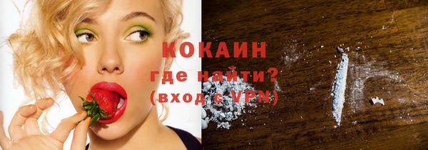 индика Абаза